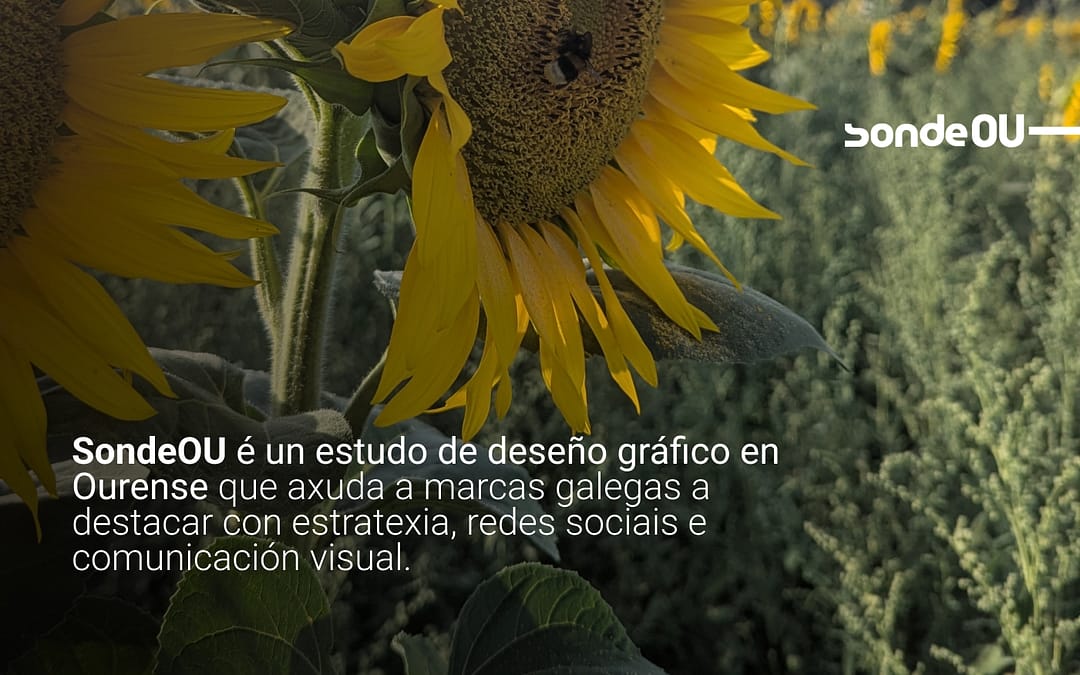 SondeOU: deseño gráfico galego con xeito